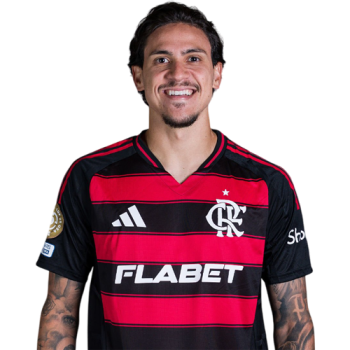 Pedro profile image