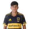 Player cutout