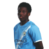 Player cutout