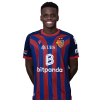 Player cutout