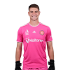 Player cutout