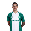 Player cutout