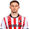 Player cutout