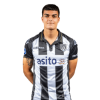 Player cutout
