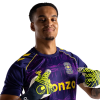 Player cutout
