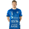 Player cutout