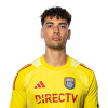 Player cutout