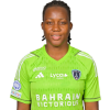 Player cutout