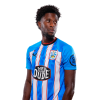 Player cutout