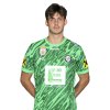 Player cutout