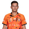 Player cutout