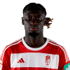 Player cutout