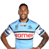 Player cutout
