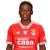 Player cutout