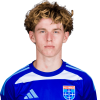 Player cutout