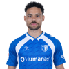 Player cutout