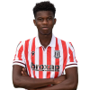 Player cutout