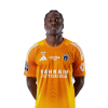 Player cutout