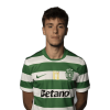 Player cutout