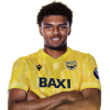 Player cutout