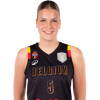 Player cutout
