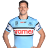 Player cutout