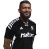 Player cutout