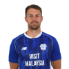 Player cutout