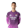 Player cutout