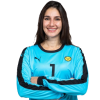 Player cutout