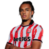 Player cutout