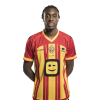 Player cutout