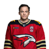Player cutout