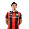 Player cutout
