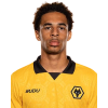 Player cutout