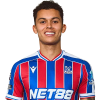 Player cutout