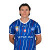Player cutout
