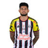 Player cutout