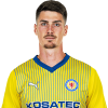 Player cutout