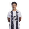 Player cutout