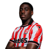 Player cutout