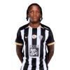 Player cutout
