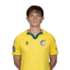 Player cutout