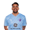 Player cutout