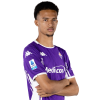 Player cutout
