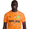 Player cutout