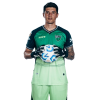 Player cutout