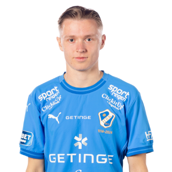 Nils Ahlstrand profile image