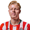 Player cutout