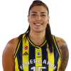 Player cutout